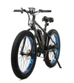 Ecotric 36V 500W Fat Tire Beach Snow Electric Bike