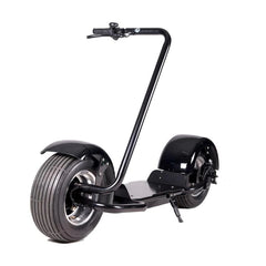 SoverSky 2000W Electric Fat Tire Stand up Scooter S5