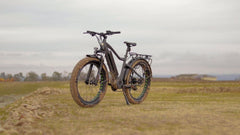 Eunorau FAT-HD 48V1000W Fat Tire Electric Mountain Bike