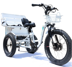 Emojo Caddy Pro Electric Trike