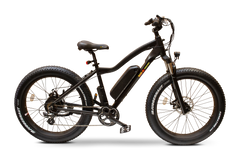 Bam Power Bikes EW-Nomad 750W 48V Fat Tire Electric Bike