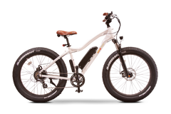 Bam Power Bikes EW-Nomad 750W 48V Fat Tire Electric Bike