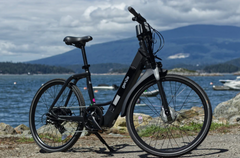 Genze E222 Step-Thru Black 350W Electric Bike