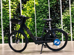 Genze E222 Step-Thru Black 350W Electric Bike