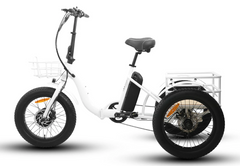 Eunorau Fat Tire Electric Trike