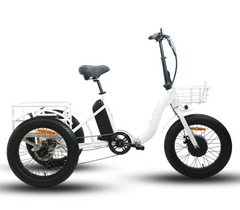 Eunorau Fat Tire Electric Trike