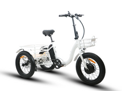 Eunorau Fat Tire Electric Trike