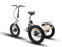 Eunorau Fat Tire Electric Trike