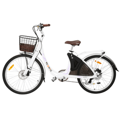 Ecotric Lark Electric City Bike