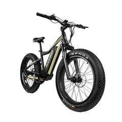 Rambo Ryder 750W Fat Tire Electric Bike