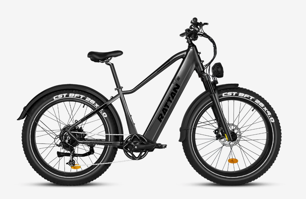 Rattan Pathfinder 750W Mountain Ebike – Epic Wheelz
