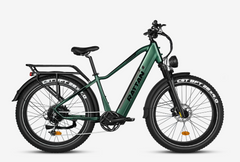 Rattan Pathfinder 750W Mountain Ebike