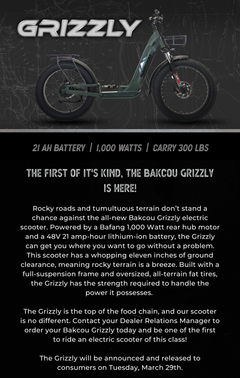 Bakcou Grizzly Electric Scooter 