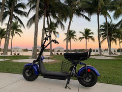 Fiik Steezer 1500W Fat Tire Electric Scooter