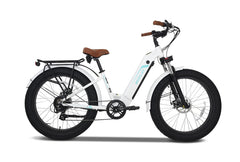 Emojo Breeze Pro 48V13AH 500W Electric Bike