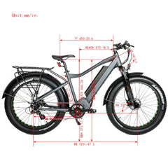 Eunorau FAT-HD 48V1000W Fat Tire Electric Mountain Bike